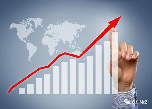 海能實業(yè)上半年預計凈利5000萬 5500萬