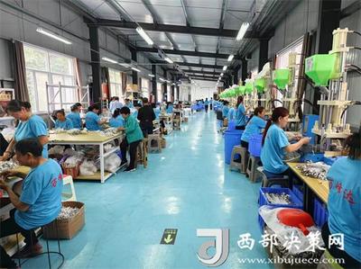 山溝溝里飛出“金線線” 鎮(zhèn)巴縣巴廟鎮(zhèn)的電子技術發(fā)展之路